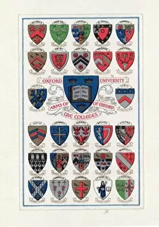 Images Dated 16th April 2018: Heraldic Shields