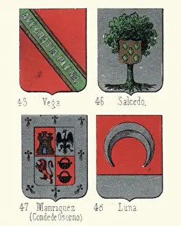 Heraldry Coat of Arms, Vega, Salcedo, Manriquez, Luna