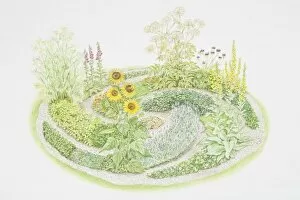 Landscaped Gallery: Herb garden in shape of a maze