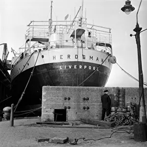 Freight Ship Prints: Herdsman Docked