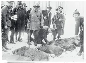 Hermann Goering Inspecting Boars