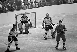 Hershey Bears