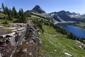 Us Glacier National Park Prints: Hidden Lake with Reynolds Mountains, Glacier National Park, Montana, United States