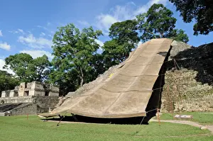 Copan Prints: Hieroglyphic Stairway, Protective Tarpaulin, Copan