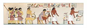 Ancient Egyptian Gods and Goddesses Gallery: Hieroglyphics in egypt