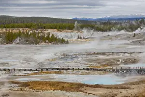 Domestic Anima Prints: High angle view of Norris Geyser Basin and Porcelain Basin at Yellowstone National Park