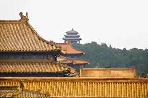 High section view of a palace, Forbidden City, Beijing, China