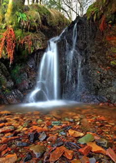 Highland waterfall forest Birnam Hill, Scotland