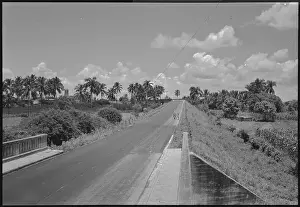 Rural Road Prints: Highway and Landscape