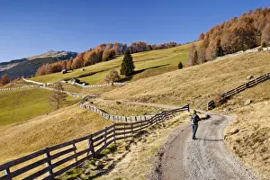 Hiking Trail Prints: Hiker during the descent from the Gedrumalm alpine pastures in the Gedrum Valley above Reinswald in the Sarn Valley