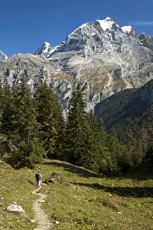 Hikers on a trail, summit of Mt Jungfrau at back, Muerren, Bernese Oberland, Switzerland, Europe