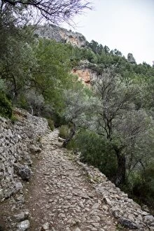 Images Dated 1st May 2015: Hiking path in Sierra de Tramuntana