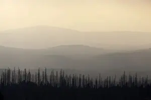 One After Another Prints: Hill in backlight on Mt. Lusen