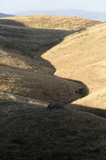 Images Dated 17th September 2012: Hills in the evening light, Bakersfield, California, USA