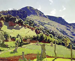 Sunshine Prints: The Hilltop