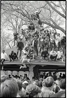 Hippie Prints: Hippies at Love-In Climb on a Roof