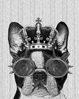 Funny Animals Collection: Hipster Boston Terrier Dog With Crown And Steampunk Goggles