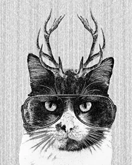 Images Dated 13th March 2018: Hipster Cat Illustration With Antlers And Glasses