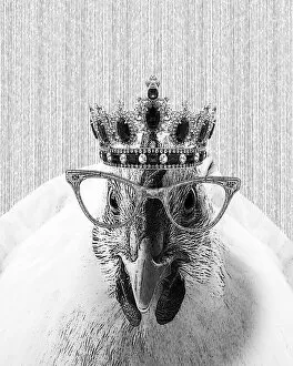 Images Dated 13th March 2018: Hipster Chicken Illustration With Crown And Glasses