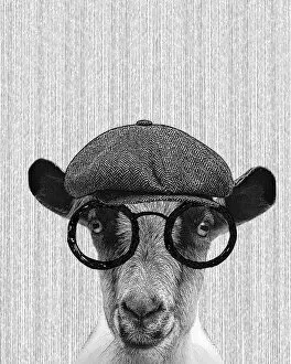 Images Dated 13th March 2018: Hipster Goat Illustration With Hat And Glasses