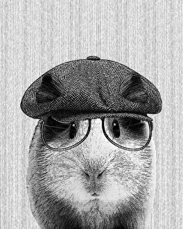 Images Dated 13th March 2018: Hipster Guinea Pig Illustration With Hat And Glasses