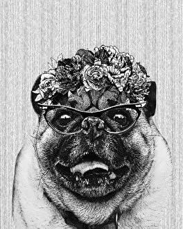 Images Dated 13th March 2018: Hipster Pug Dog Illustration With Floral Crown And Glasses