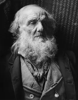 Hirsute Visage