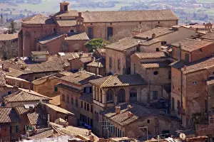 Siena Prints: Siena