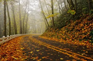 Images Dated 7th November 2008: Historic highway