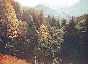 Eastern Alps Prints: Historical photo around 1880 of the alpine region Tatzelwurm in Bavaria