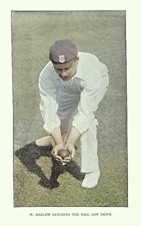 Prints of History of Cricket, Fielder catching the ball low, 19th Century vintage photograph Digital Vision Vector Prints: History of Cricket, Fielder catching the ball low, 19th Century vintage photograph