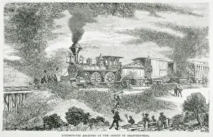 Hoard of Grasshoppers Flying Towards Train