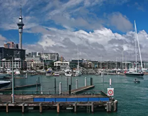 Steve Stringer Photography Collection: Hobson West Marina Auckland NZ