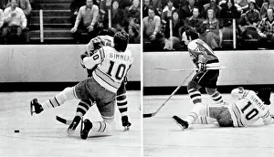 Hockey Action: The Seals Versus The Capitals
