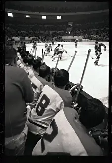 Hockey Players on the Bench