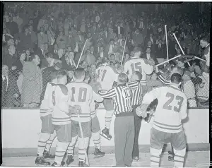 Hockey Players and the Fans Fighting During a Game