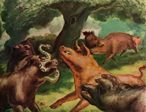 1930s Prints: Hogs Killing a Rattlesnake 1930