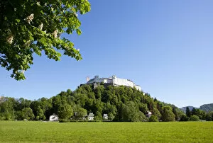 Images Dated 8th May 2012: Hohensalzburg Castle, Nonntal valley, Salzburg, Austria