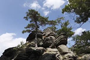 Travel with Martin Siepmann Gallery: Hoher Stein Mountain, Muehlberg, Dunkelsteinerwald, Wachau, Mostviertel, Lower Austria, Austria