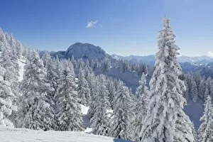 Hoher Straussberg Mountain, seen from Tegel Mountain, Tegelberg, Ammergauer Alpen, Schwangau, Ostallgau, Allgau