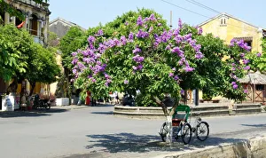 Freshness Collection: Hoi An old town street scene