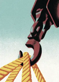 Hoist Lifting Ropes