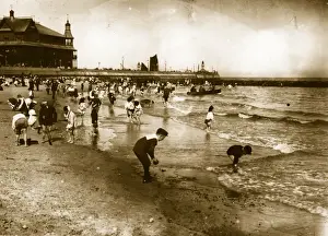 Paddle Prints: Holiday Beach