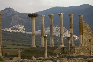 Volubilis Prints: Fes