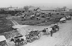 Town Scene Prints: Homesteaders Getting Supplies