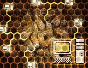 Swarm Of Insects Prints: Honeycomb and Computers