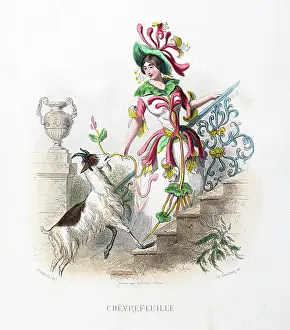 Grandville Prints: Honeysuckle flower - Stunning Hand-colored plate from 'Les Fleurs Animees by J