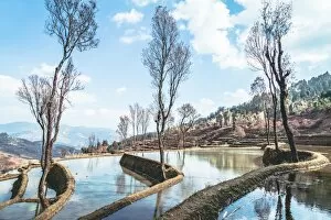 Images Dated 9th February 2016: Honghe Hani Rice terraces Landscape