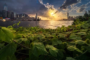 Images Dated 28th June 2015: Hongkong skyline with Greenery foreground