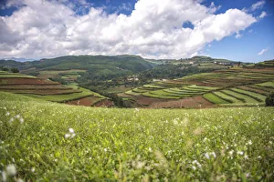 Images Dated 13th October 2012: Hongtudi, Dongchuan